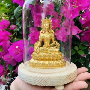 Chụp kính kèm đế gỗ tròn 10cm (MC03748)